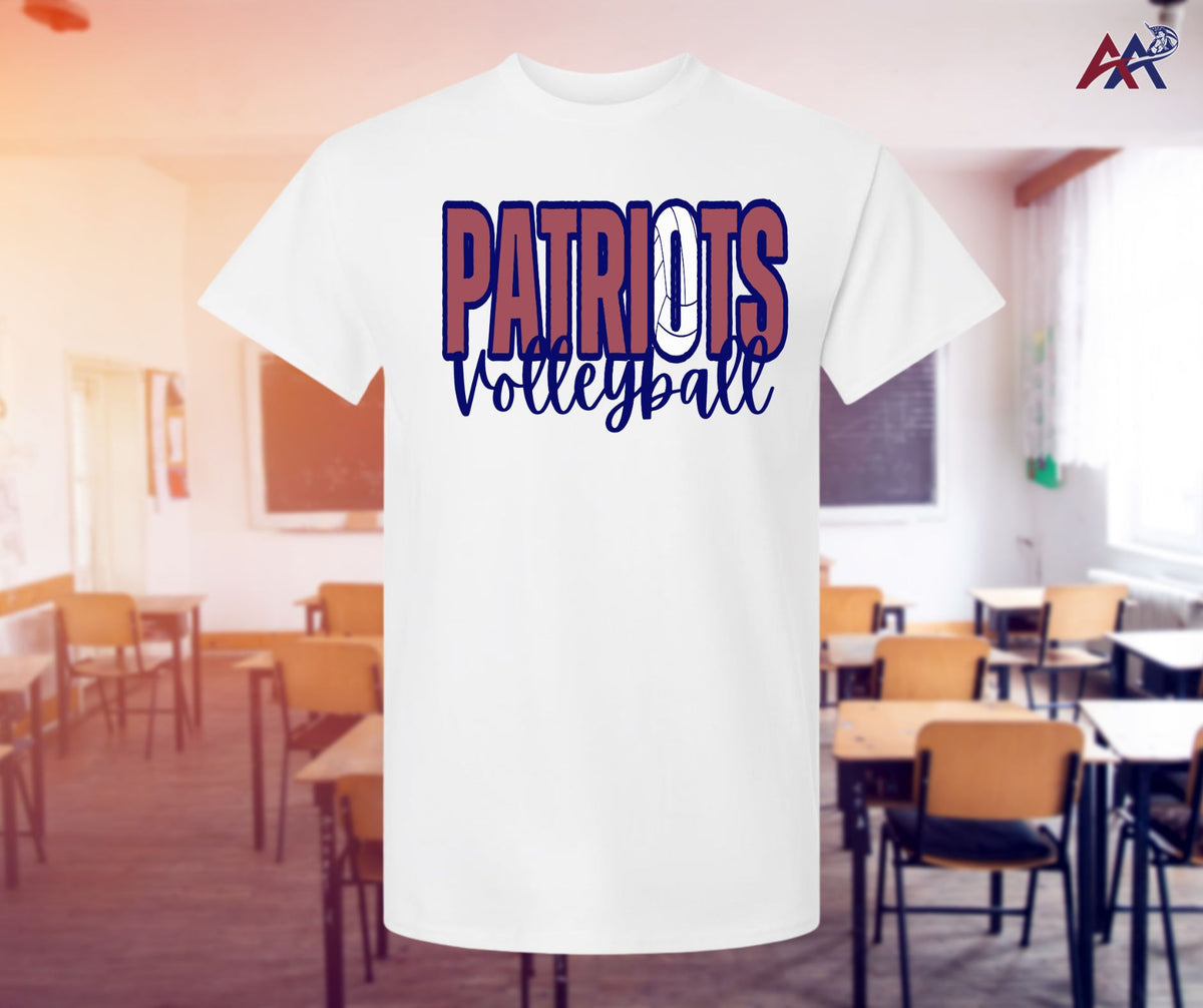 Youth Size Patriots VolleyBall