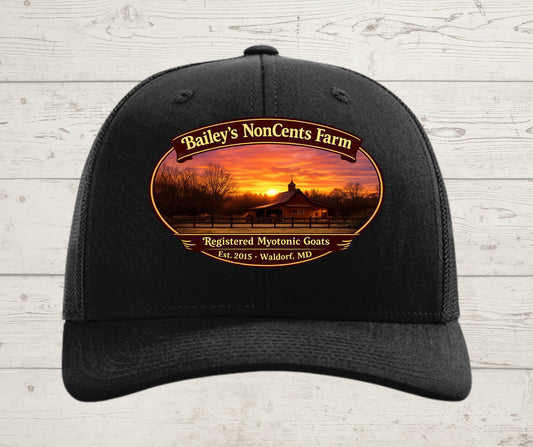 Richardson - Snapback Trucker Cap - 112