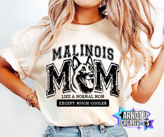 Malinois Mom