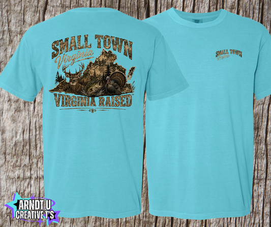 Small Town Virginia